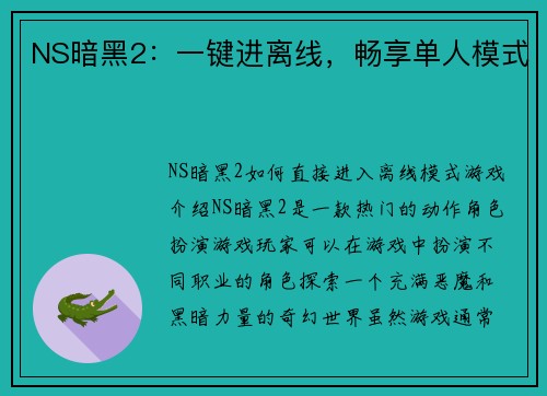 NS暗黑2：一键进离线，畅享单人模式